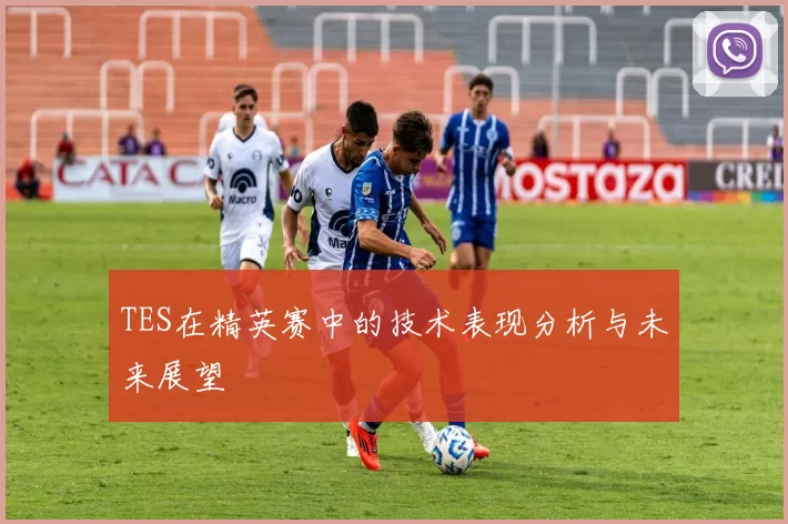 TES在精英赛中的技术表现分析与未来展望