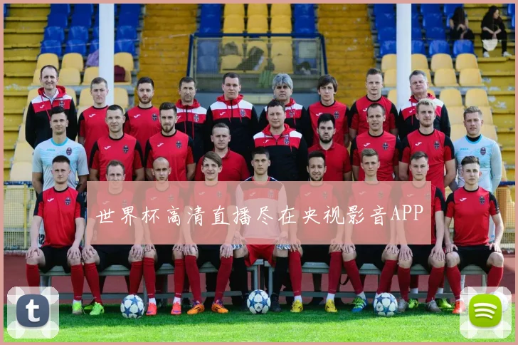 世界杯高清直播尽在央视影音APP