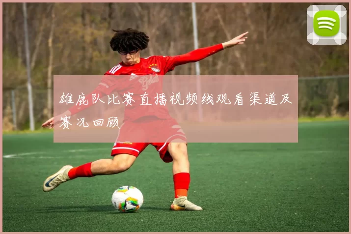 雄鹿队比赛直播视频线观看渠道及赛况回顾