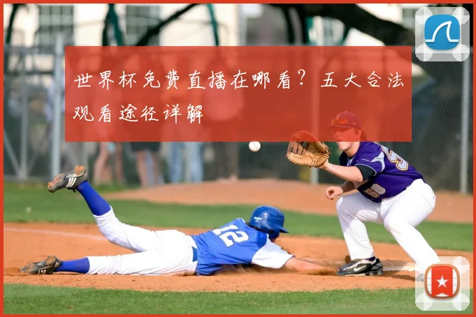 世界杯免费直播在哪看？五大合法观看途径详解