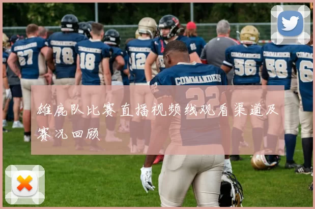 雄鹿队比赛直播视频线观看渠道及赛况回顾