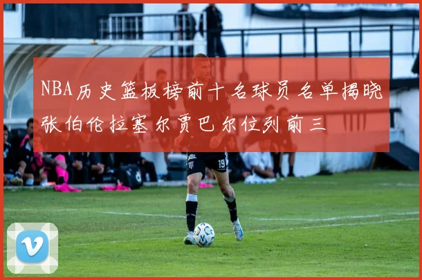NBA历史篮板榜前十名球员名单揭晓张伯伦拉塞尔贾巴尔位列前三