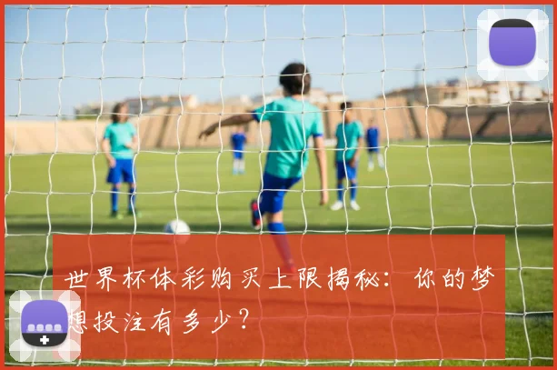世界杯体彩购买上限揭秘:你的梦想投注有多少?