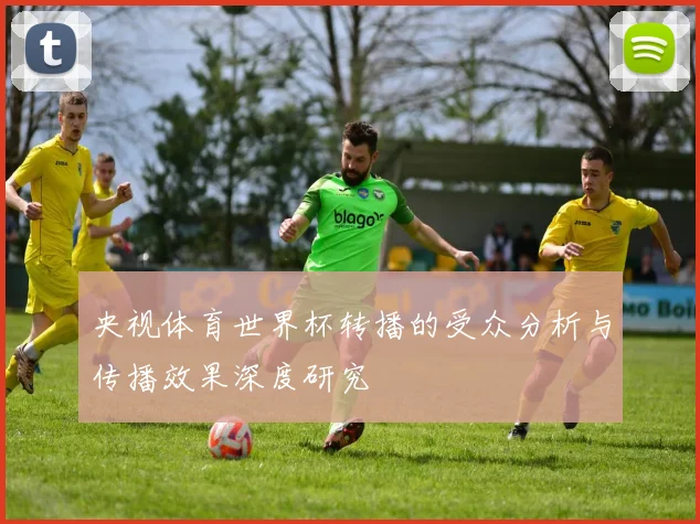 央视体育世界杯转播的受众分析与传播效果深度研究