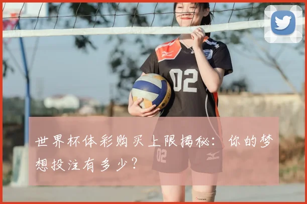 世界杯体彩购买上限揭秘:你的梦想投注有多少?