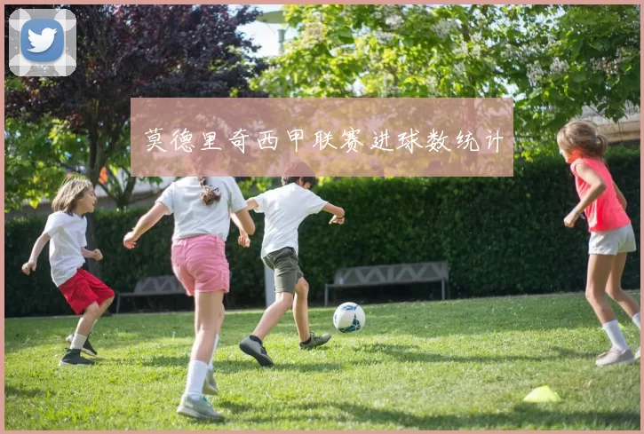 莫德里奇西甲联赛进球数统计