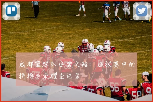 成都篮球队逆袭之路：选拔赛中的拼搏与荣耀全记录