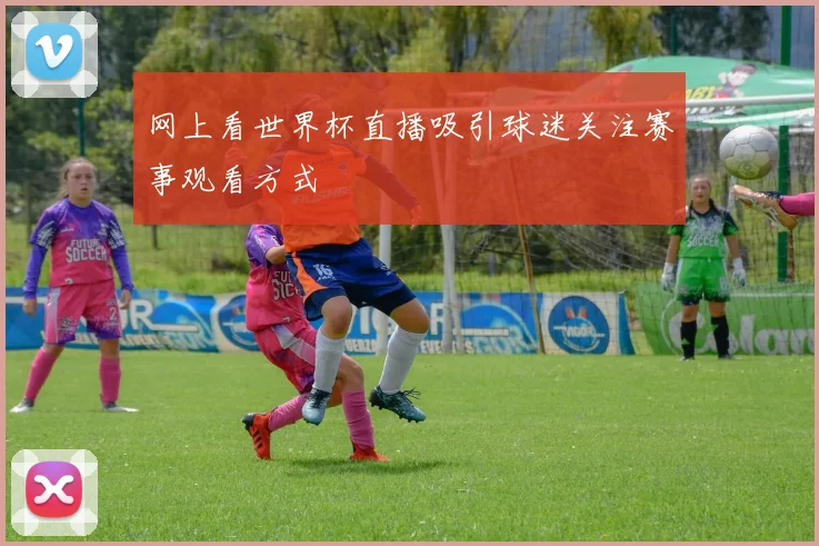 网上看世界杯直播吸引球迷关注赛事观看方式