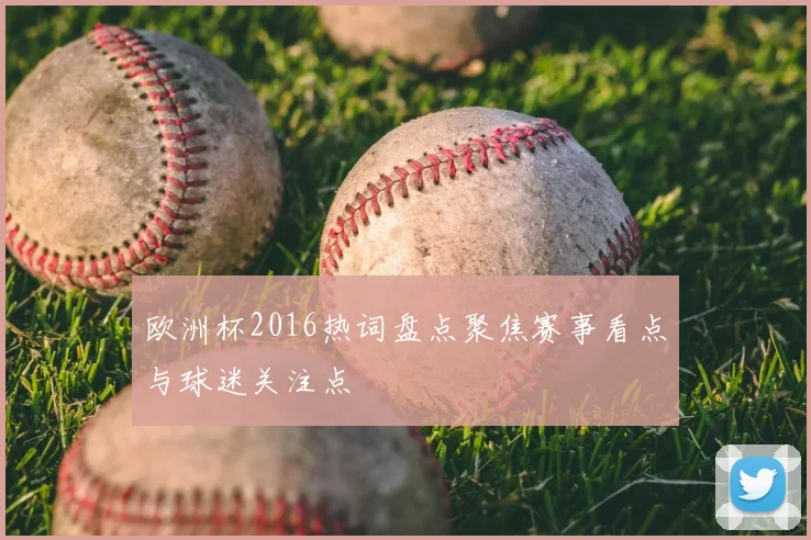 欧洲杯2016热词盘点聚焦赛事看点与球迷关注点