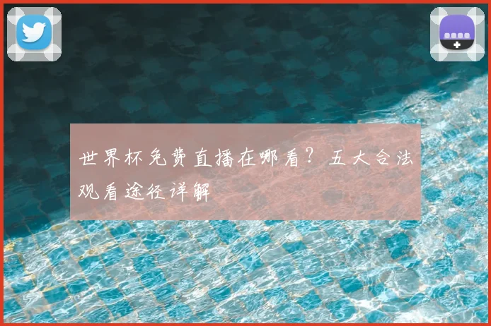 世界杯免费直播在哪看？五大合法观看途径详解