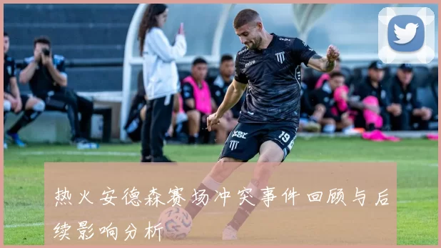 热火安德森赛场冲突事件回顾与后续影响分析
